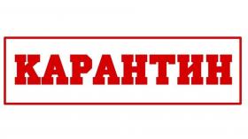 карантин1.jpg