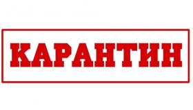 карантин1.jpg