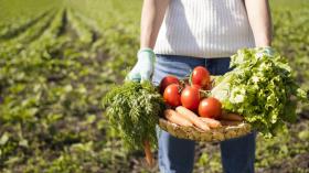 woman-holding-basket-full-vegetables-with-copy-space_23-2148580021.jpg