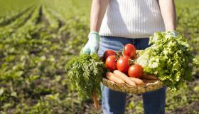 woman-holding-basket-full-vegetables-with-copy-space_23-2148580021.jpg