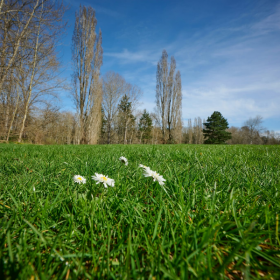 Креатив без названия.png