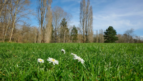 Креатив без названия.png